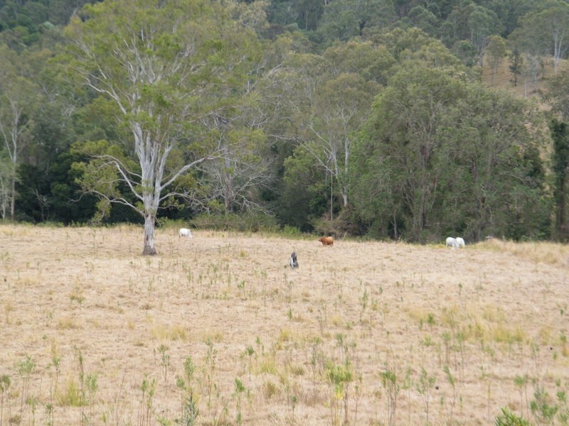 Lot 4 Kandanga Creek Road, Kandanga QLD 4570