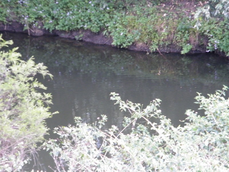 Lot 4 Kandanga Creek Road, Kandanga QLD 4570