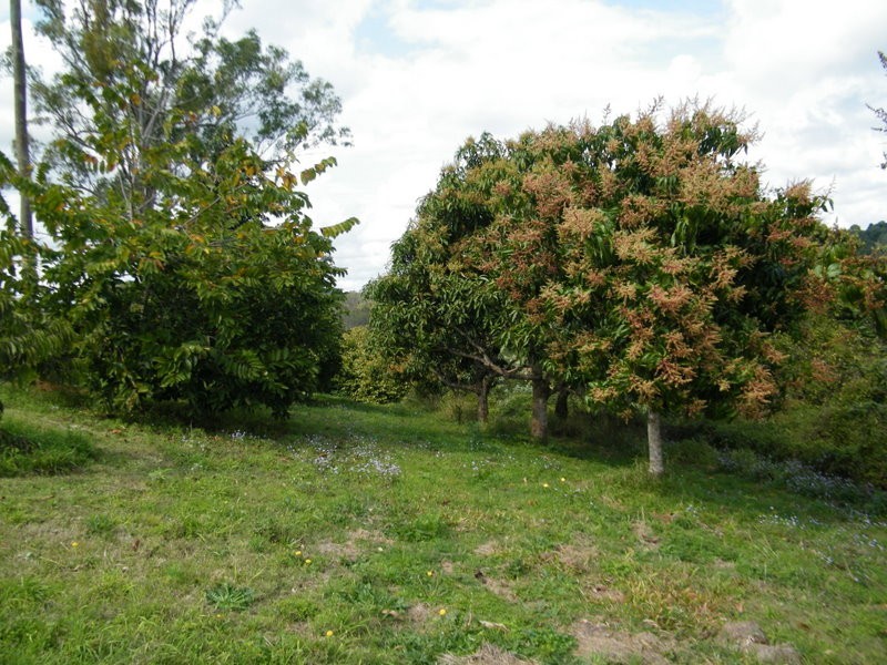 41 Red Gully, Amamoor QLD 4570