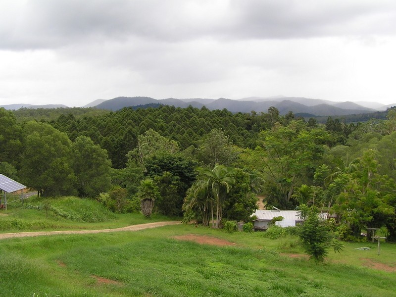 93 Bundy, Imbil QLD 4570