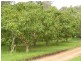 93 Bundy, Imbil QLD 4570