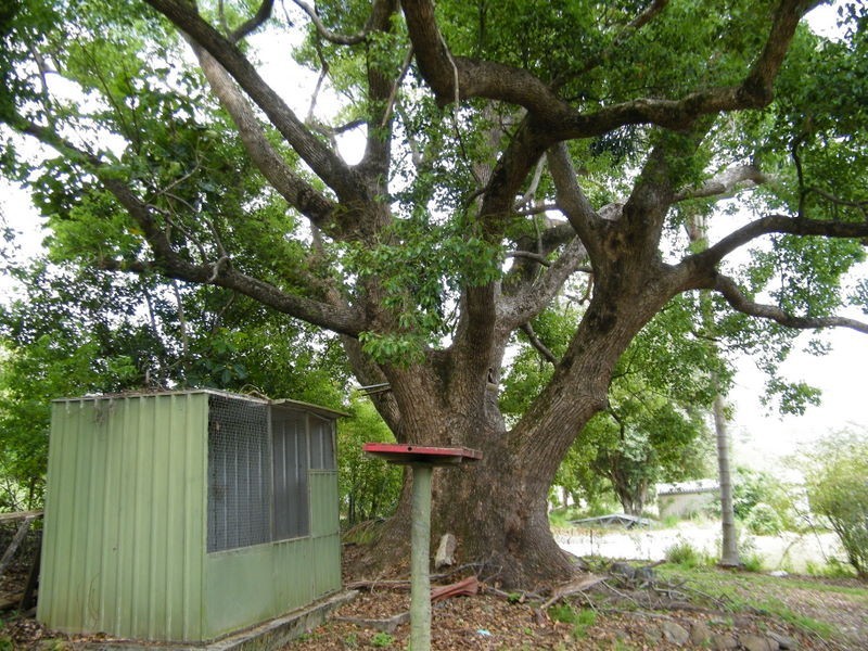 Imbil QLD 4570