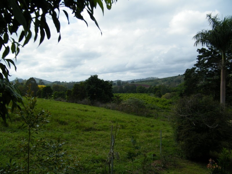 86  Red Gully, Amamoor QLD 4570