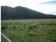 82 Diggings Road, Imbil QLD 4570