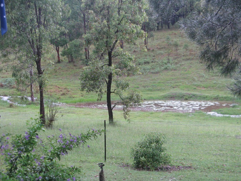 Bollier QLD 4570