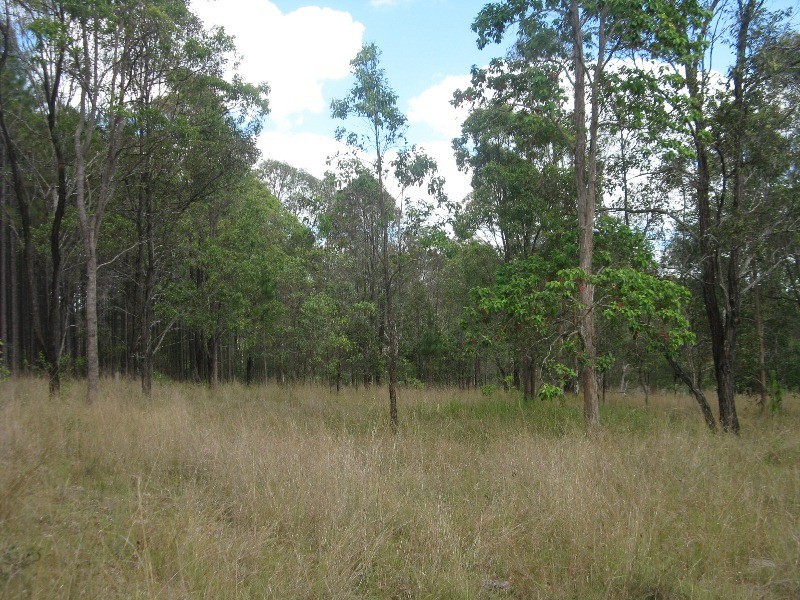 Bollier QLD 4570