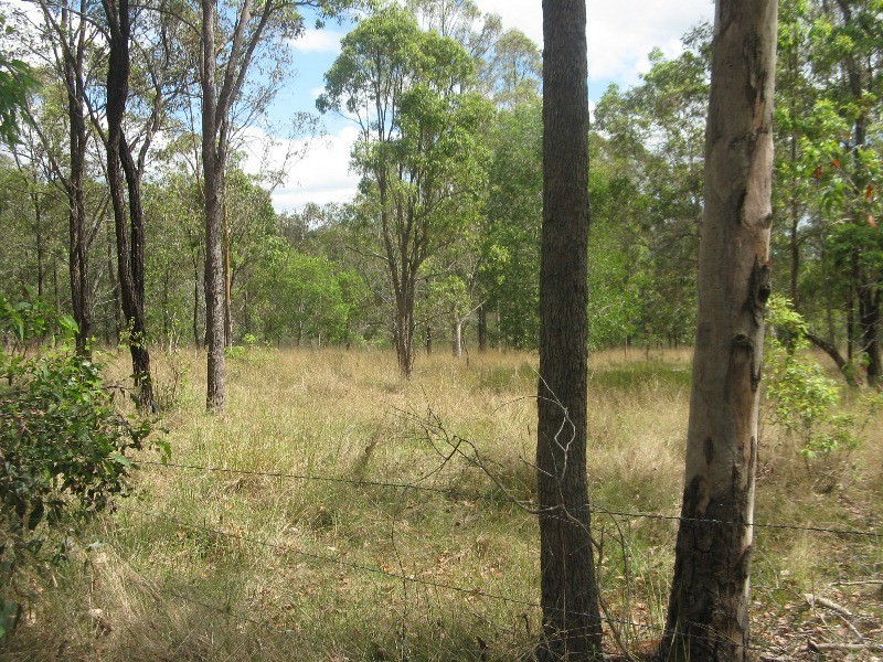 Bollier QLD 4570