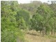 Bollier QLD 4570