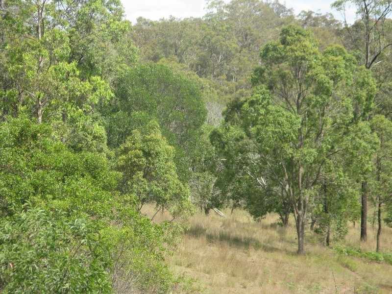 Bollier QLD 4570