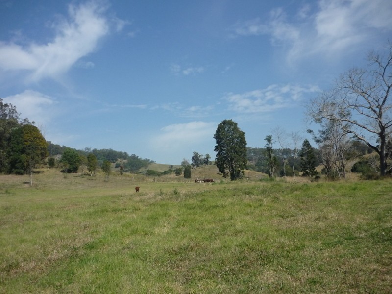 290 Moy Pocket Road, Brooloo QLD 4570