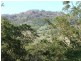 290 Moy Pocket Road, Brooloo QLD 4570