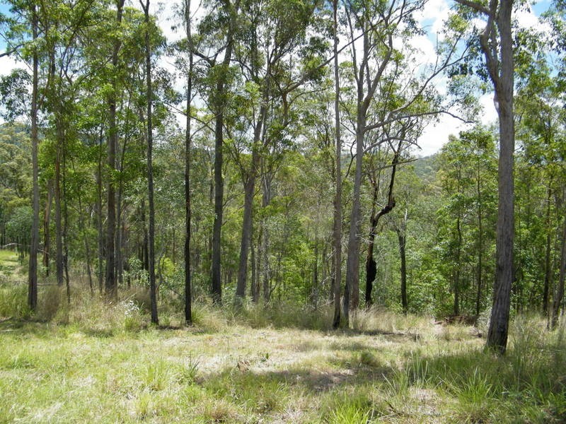 Lot 11 Michelle Ct, Imbil QLD 4570