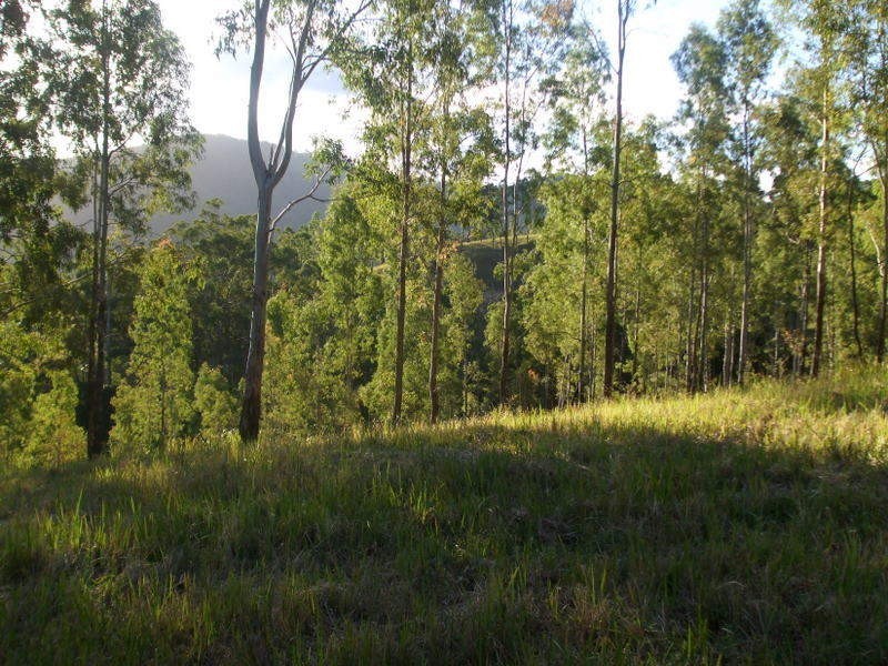 Bella Creek QLD 4570