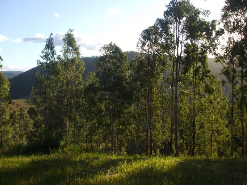 Bella Creek QLD 4570