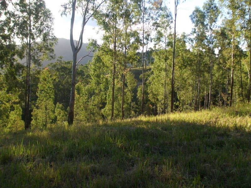 Bella Creek QLD 4570