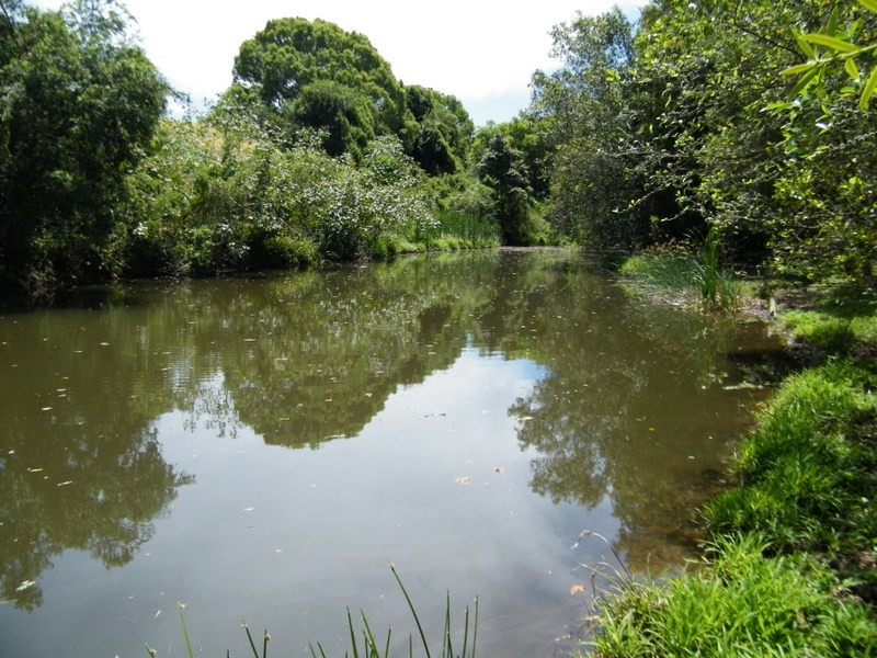 171 Yabba Creek Road, Imbil QLD 4570