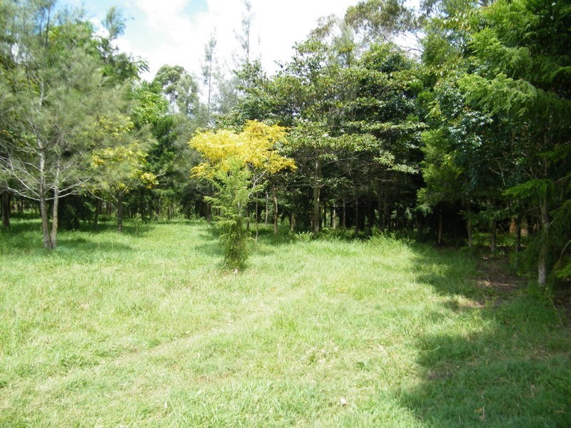 171 Yabba Creek Road, Imbil QLD 4570