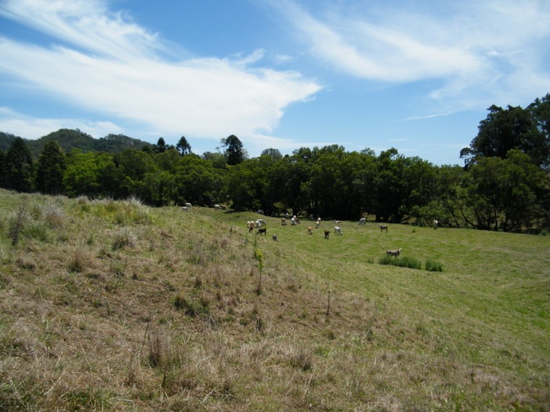 171 Yabba Creek Road, Imbil QLD 4570