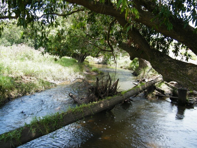 171 Yabba Creek Road, Imbil QLD 4570