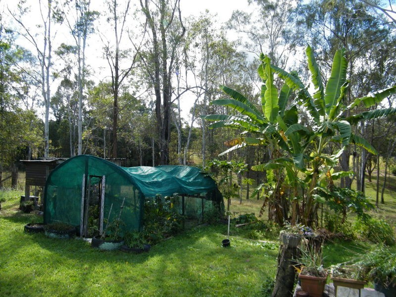 728 Kandanga Creek Road, Kandanga Creek QLD 4570