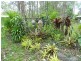 187 Ballard Road, Imbil QLD 4570
