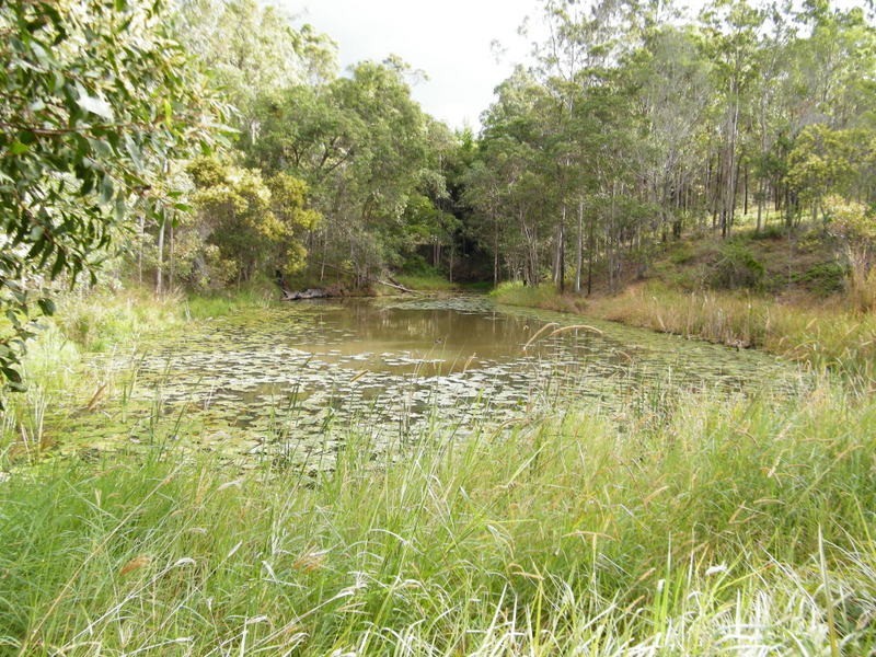 70 Lymburner Road, Pie Creek QLD 4570