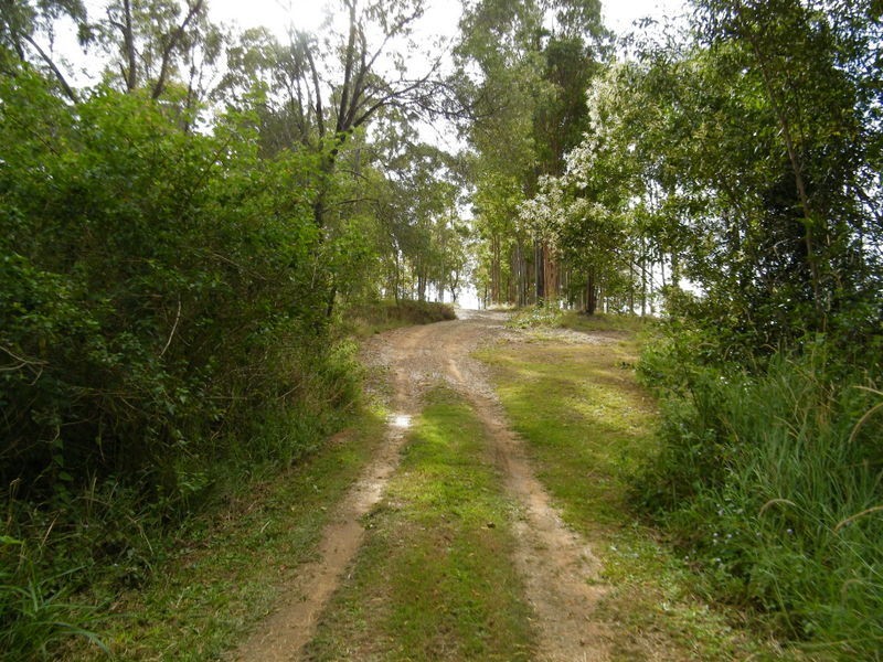 70 Lymburner Road, Pie Creek QLD 4570