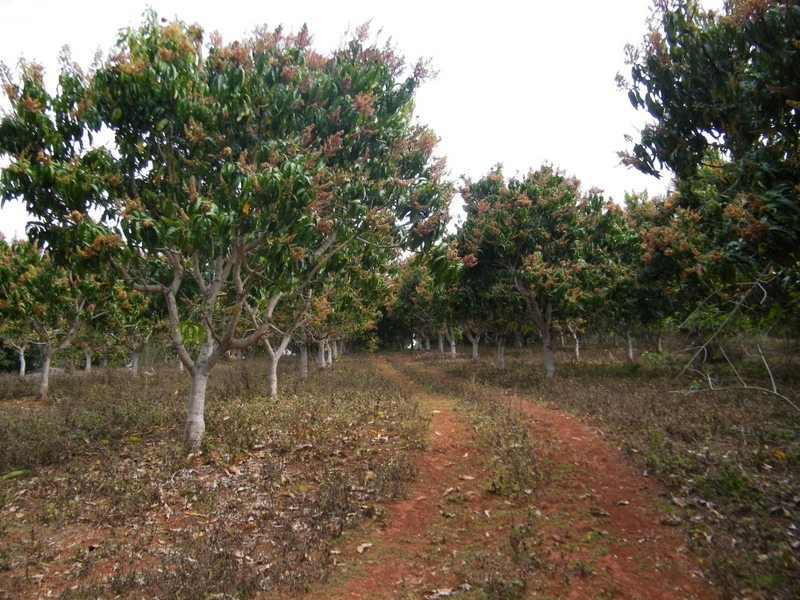 122 Harry’s Creek Road, Amamoor QLD 4570