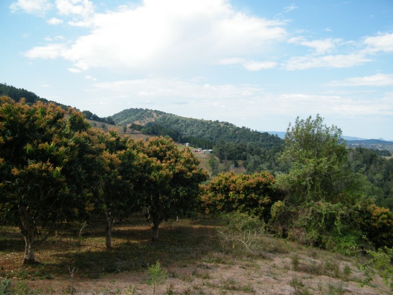 122 Harry’s Creek Road, Amamoor QLD 4570