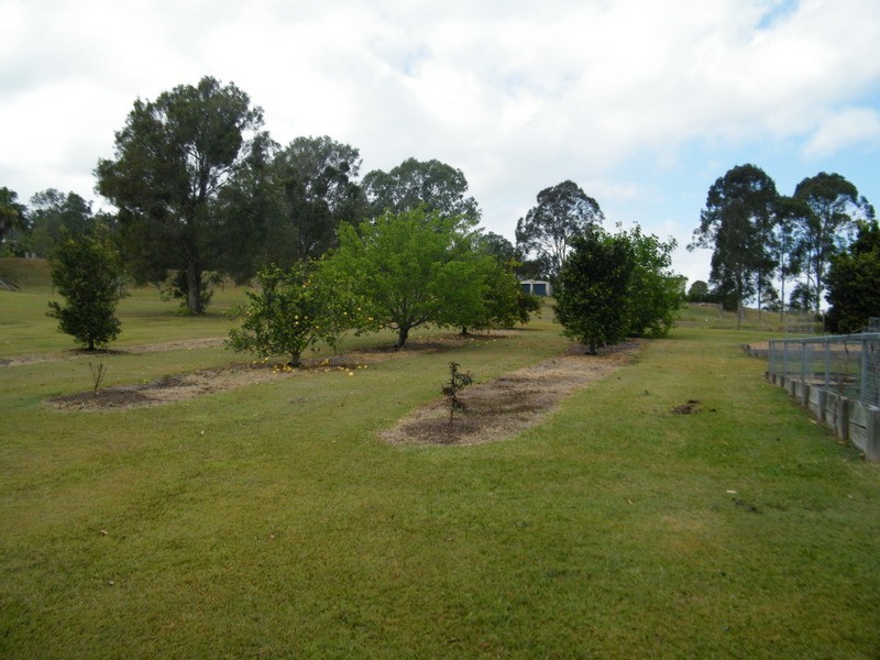 31 Rianna Road, The Dawn QLD 4570