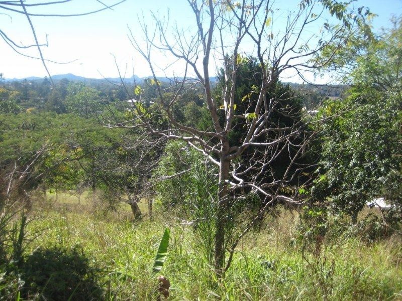 25 Elizabeth Street, Imbil QLD 4570