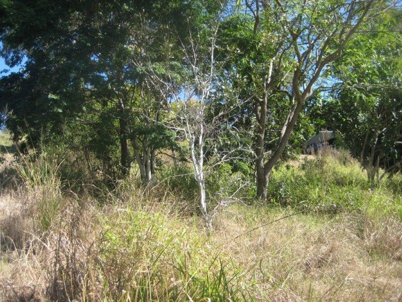 25 Elizabeth Street, Imbil QLD 4570