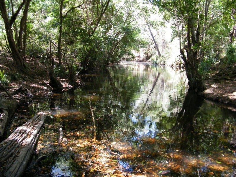 Lot 28 Ninbella Road, Imbil QLD 4570