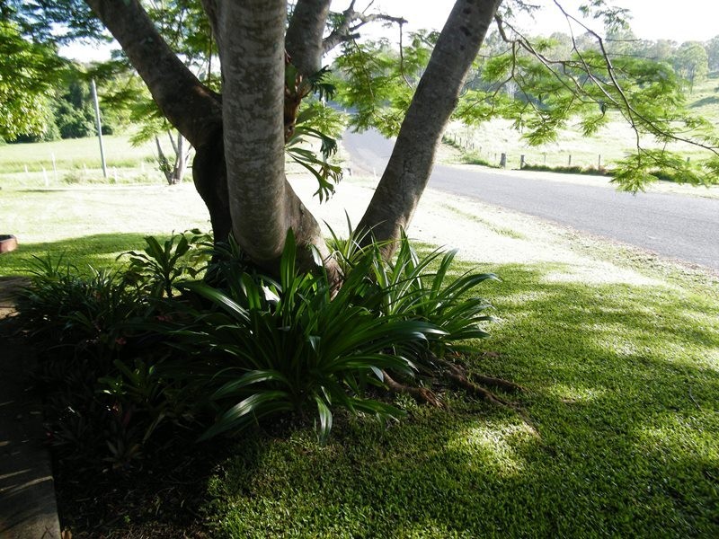 14 Kandanga-Amamoor, Kandanga QLD 4570