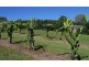 Amamoor QLD 4570