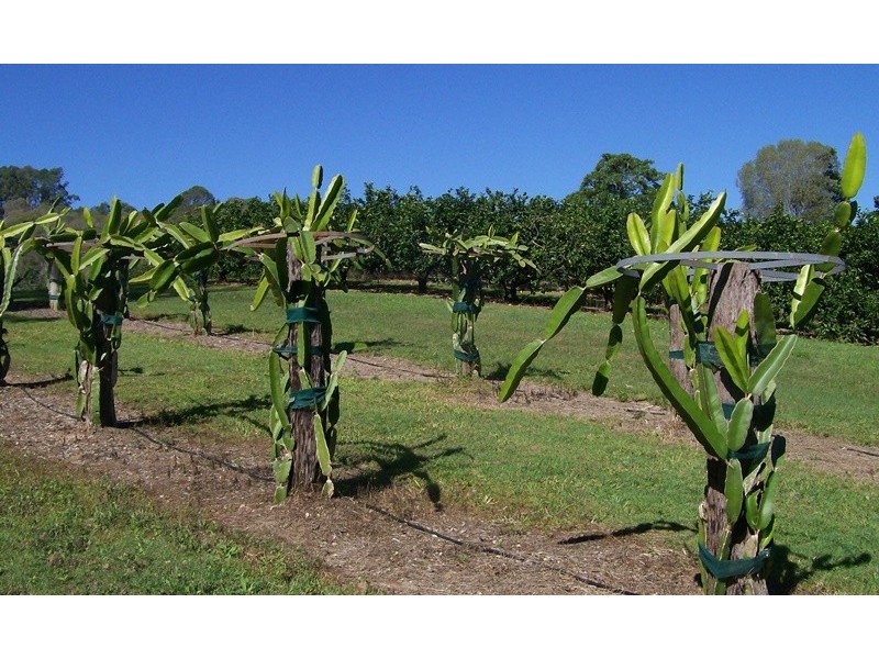 Amamoor QLD 4570