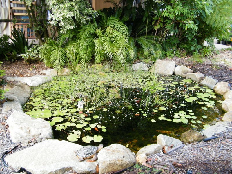 217 Tunnel Road, Imbil QLD 4570