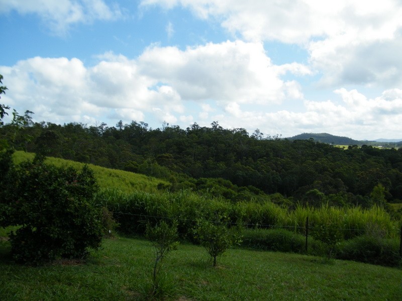 217 Tunnel Road, Imbil QLD 4570