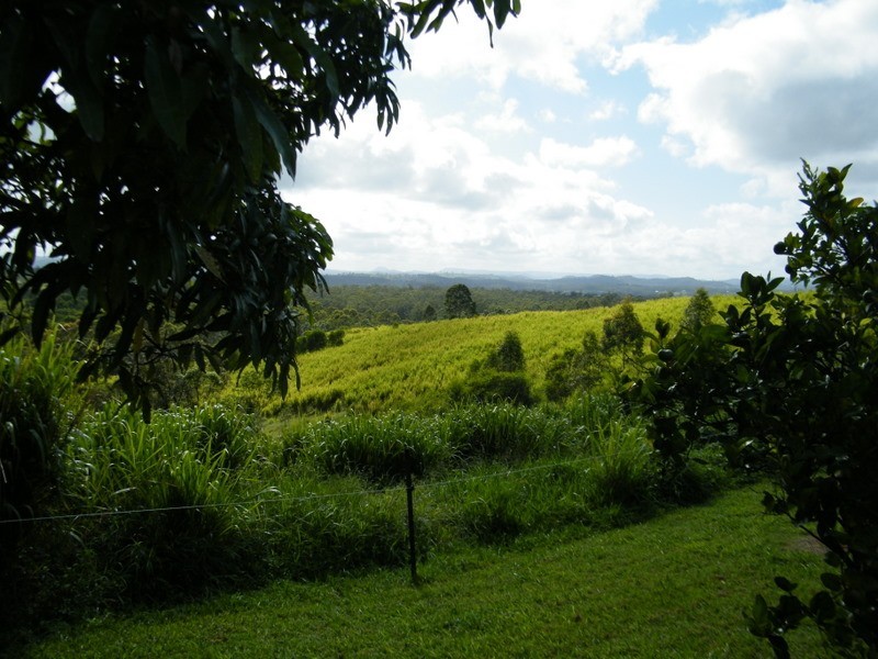 217 Tunnel Road, Imbil QLD 4570