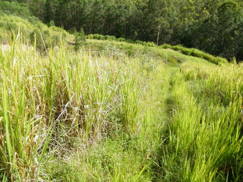 217 Tunnel Road, Imbil QLD 4570