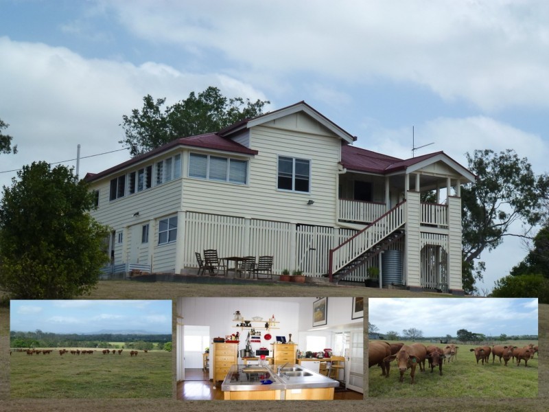 228 Fitzpatrick Road, The Dawn QLD 4570