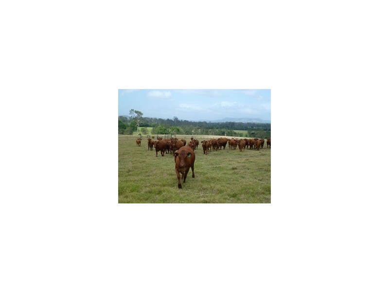 17 Broomlands Lane, The Dawn QLD 4570