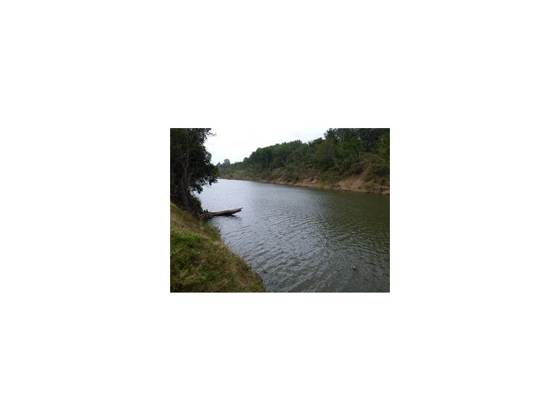 17 Broomlands Lane, The Dawn QLD 4570