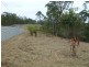 Lot 16 Michelle Court, Imbil QLD 4570
