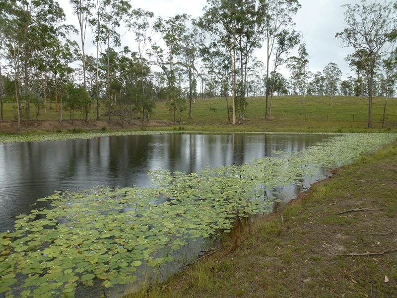 3435 Mary Valley Road, Imbil QLD 4570