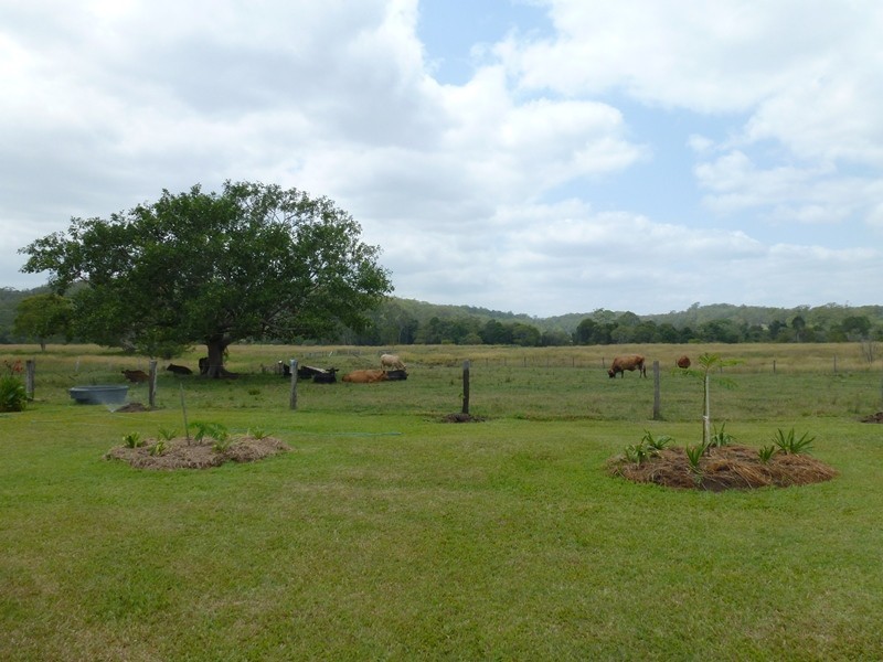 217 Stewart Road, Coondoo QLD 4570