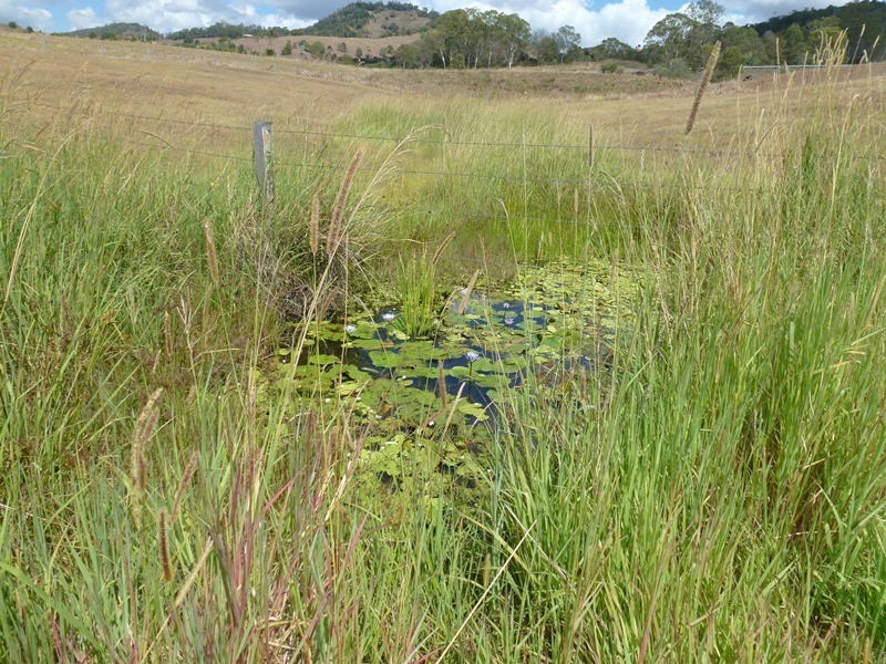 36 Ashton Road, Gilldora QLD 4570