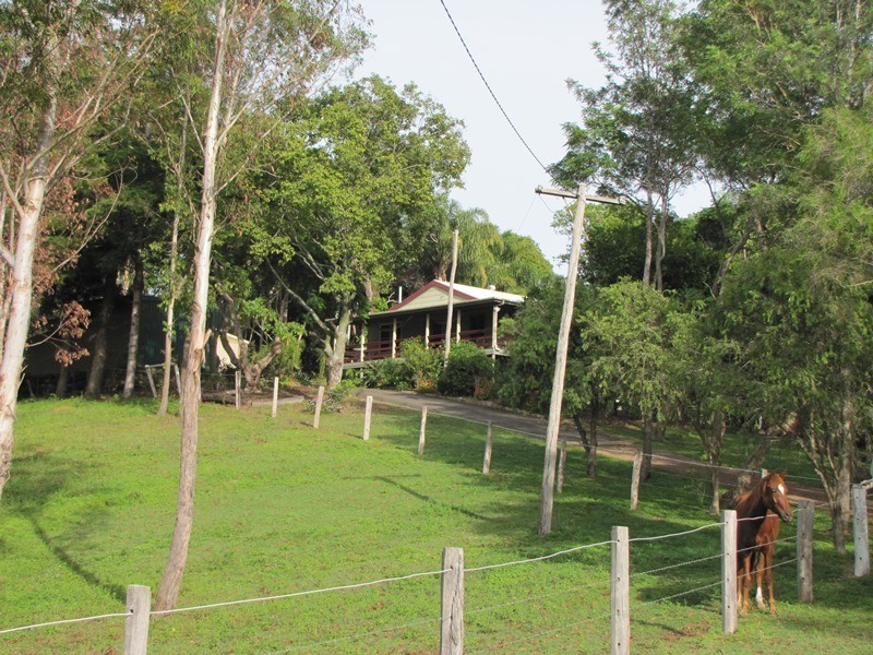 874 McIntosh Creek Road, Calico Creek QLD 4570