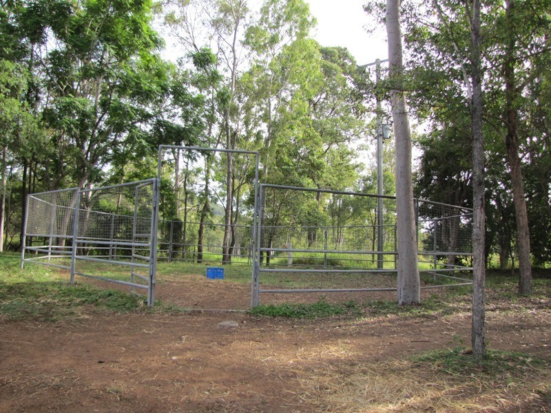 874 McIntosh Creek Road, Calico Creek QLD 4570