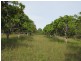874 McIntosh Creek Road, Calico Creek QLD 4570